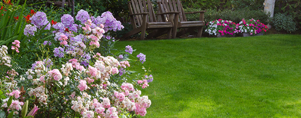 Lawncology® 2: Creating Problems for Profit