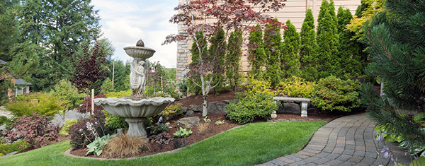 Lawncology® 12: When The Fix Becomes The Problem