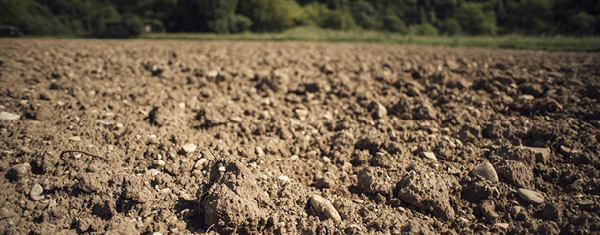Lawncology® 21: Understanding Surface Area