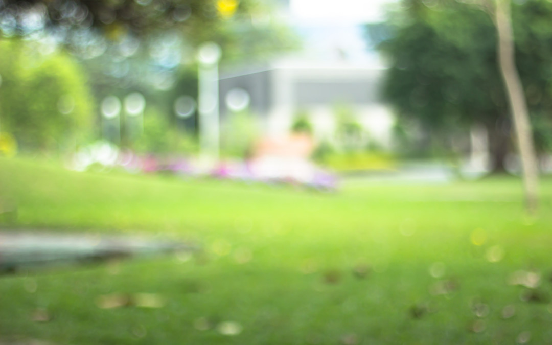 Lawncology® 25: Hybrid, The Ultimate Program?