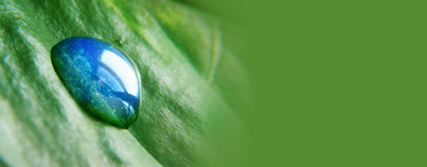 Lawncology® 27: Products vs Programs
